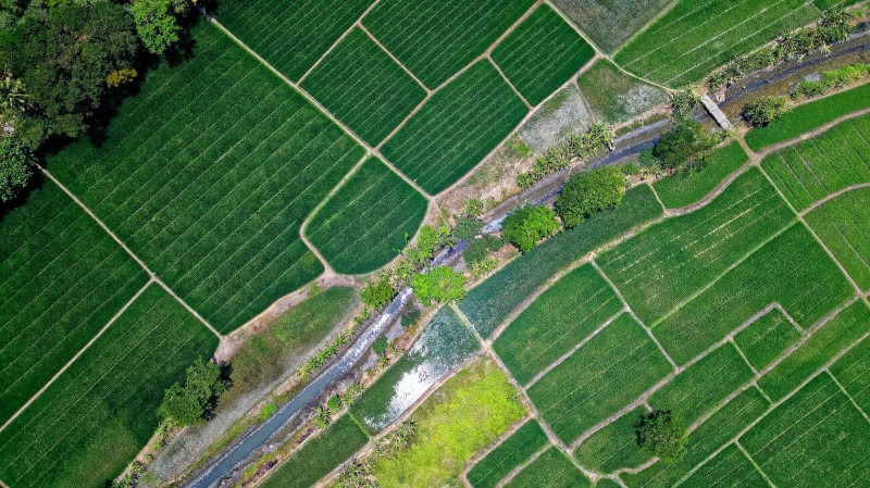 Droit agricole Normandie